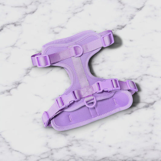 Durable Neoprene Lilac Dog Harness image 1