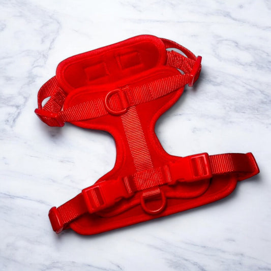 Durable Neoprene Red Dog Harness image 1