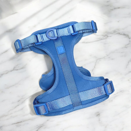 Durable Neoprene Blue Dog Harness image 0
