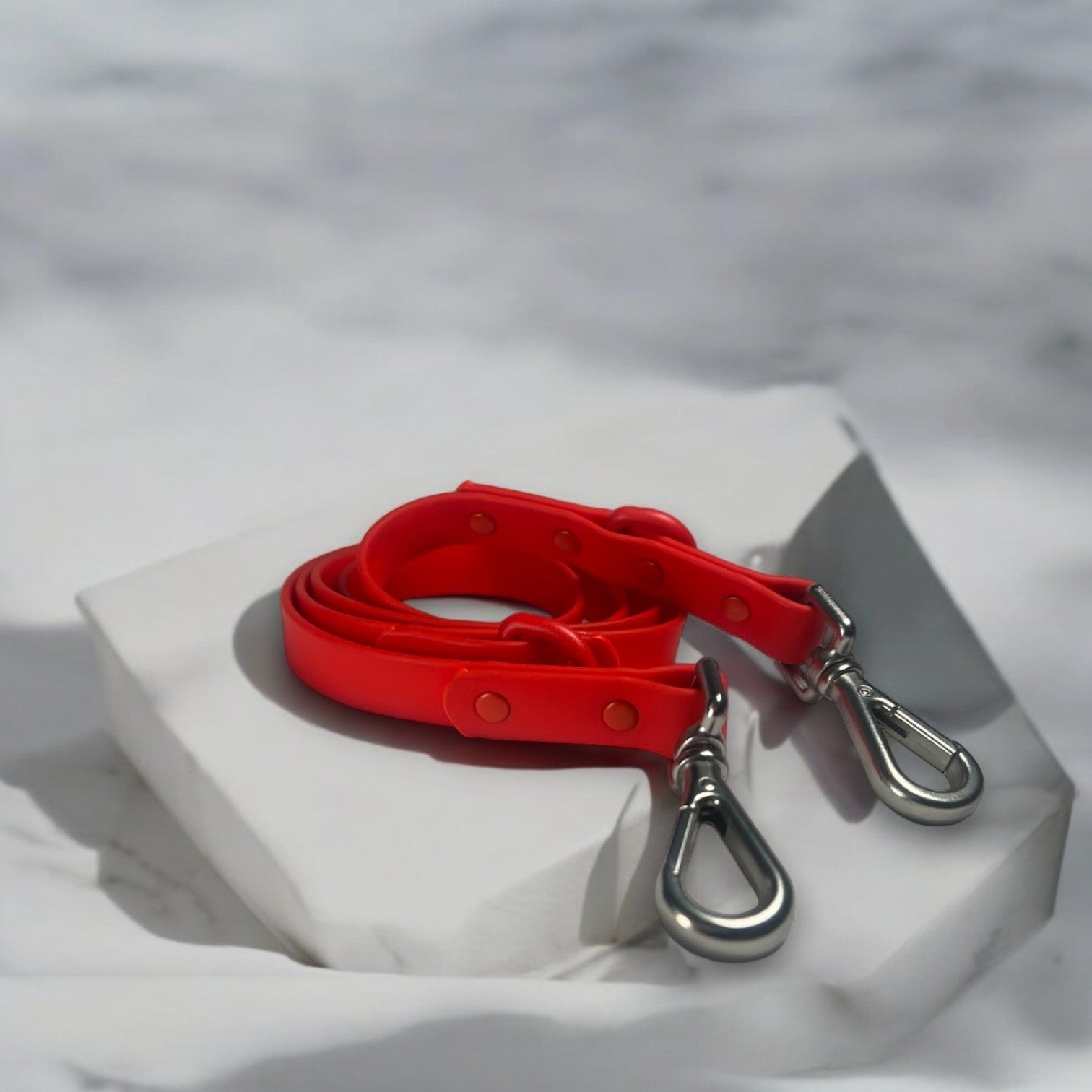 Durable Waterproof Red Dog Lead image 0