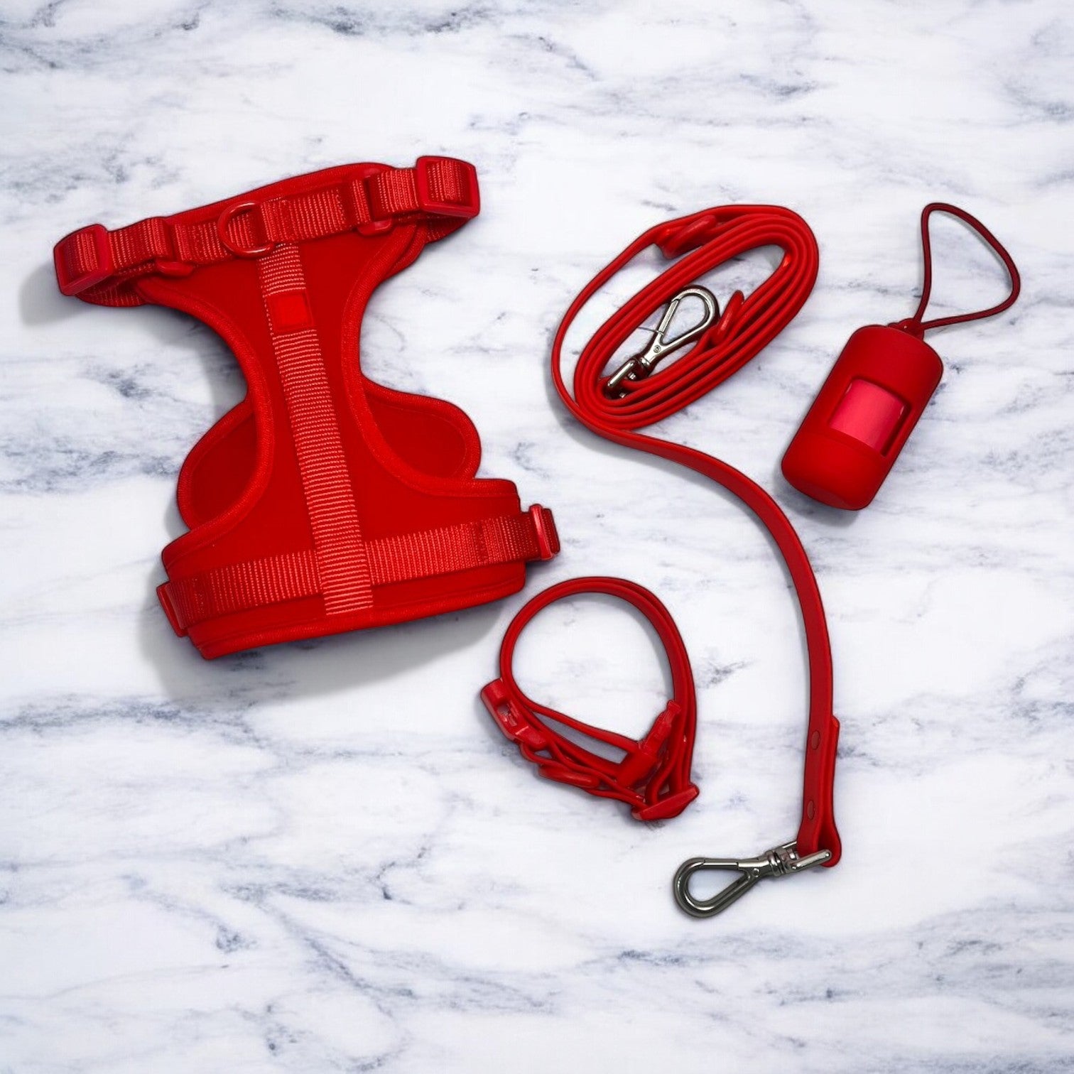 Red Dog Walking Set image 0