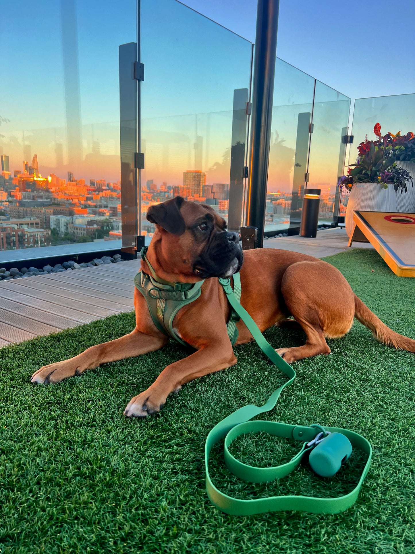 Durable Waterproof Green Dog Lead image 1