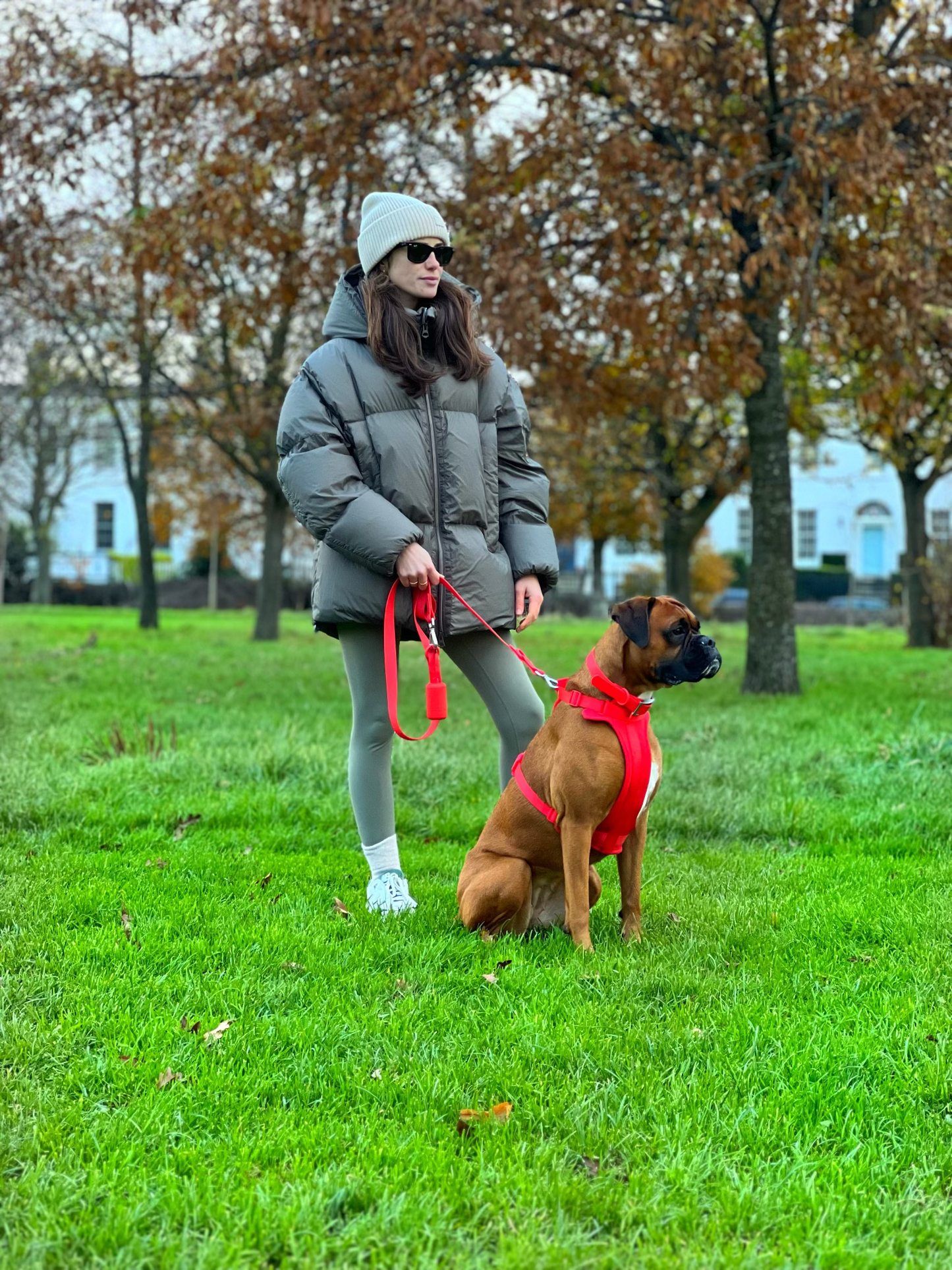 Durable Waterproof Red Dog Lead image 3