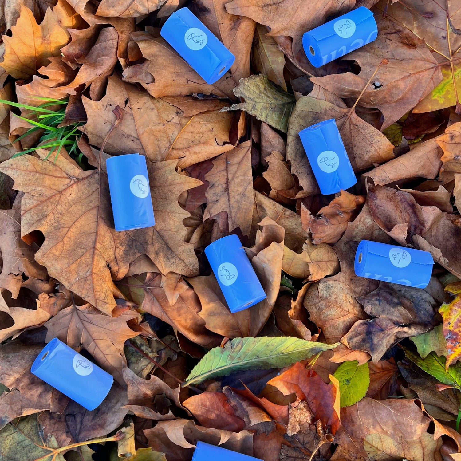 Compostable Scented Poo Bags 8 Rolls image 5