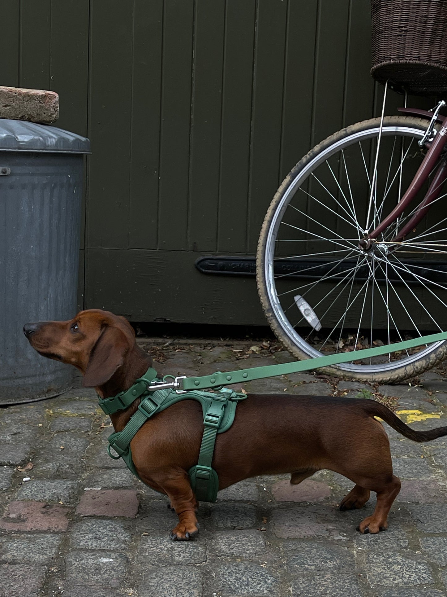 Waterproof Green Dog Collar image 4