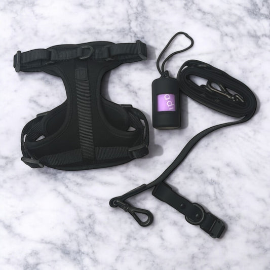 Black Dog Walking Set image 0