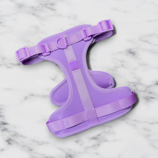 Durable Neoprene Lilac Dog Harness image 0