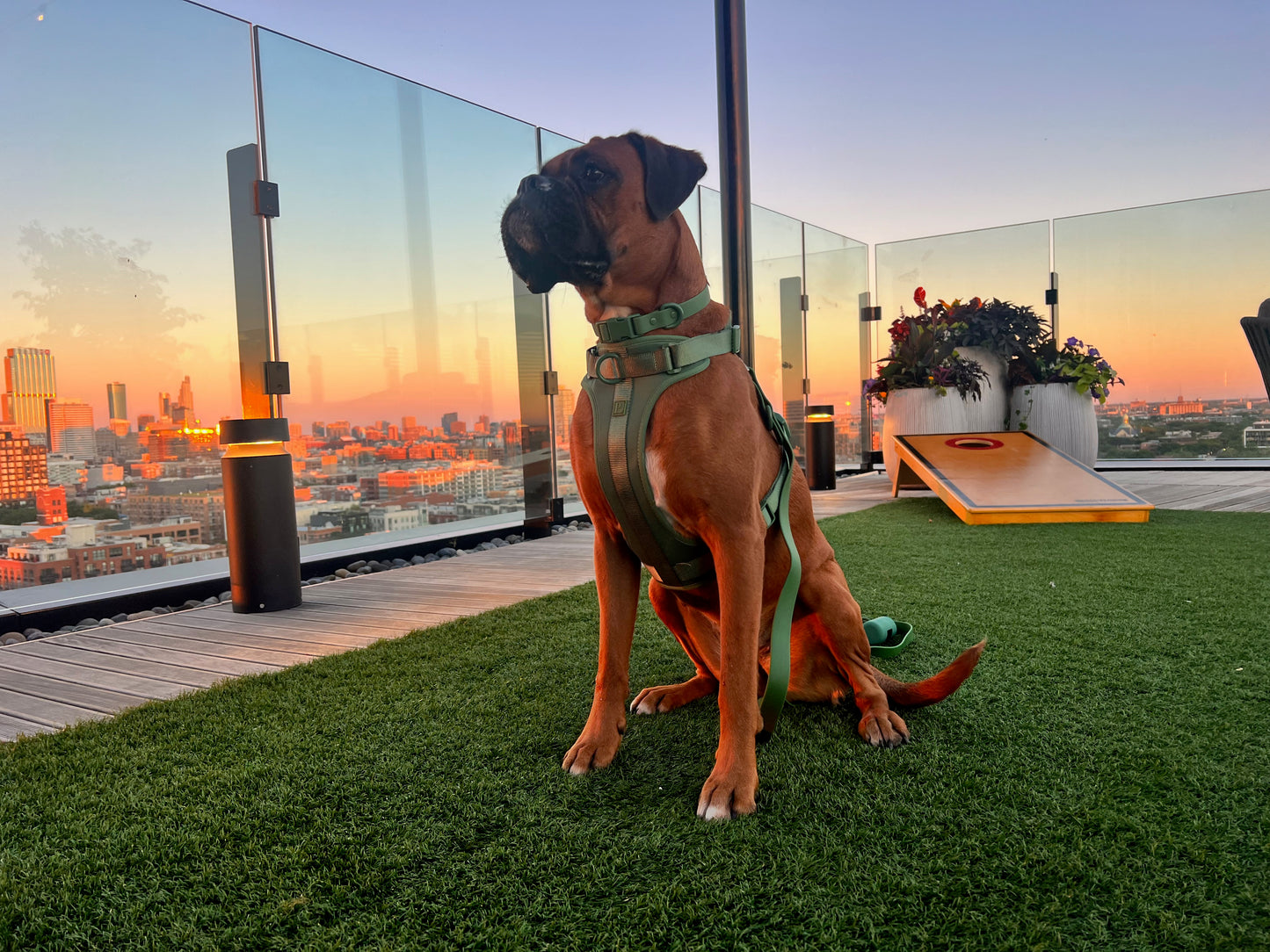 Waterproof Green Dog Collar image 1