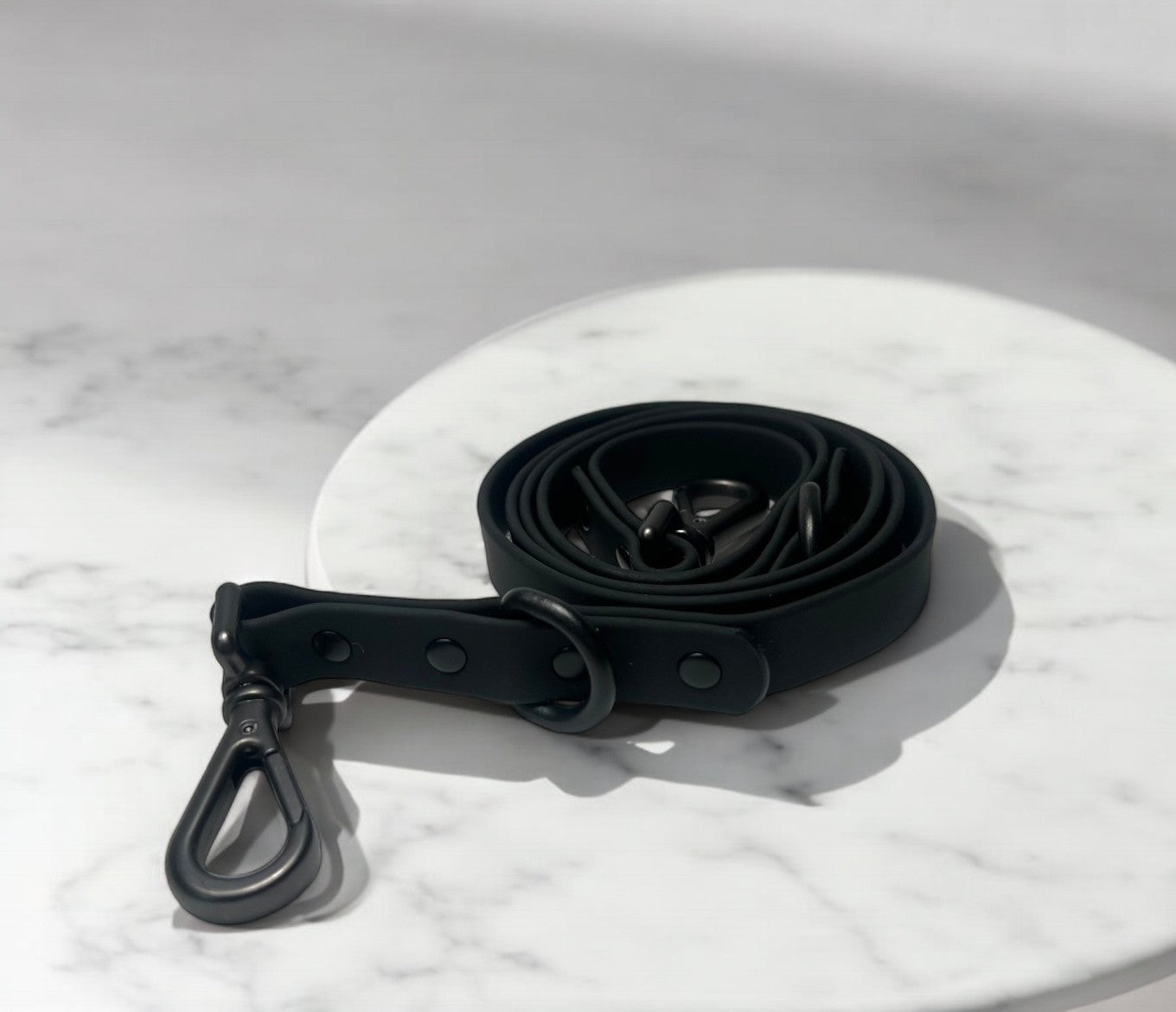 Durable Waterproof Black Dog Lead image 0