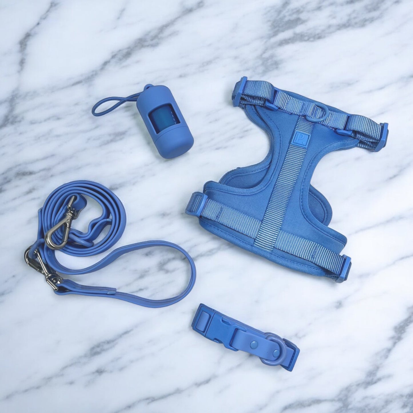 Blue Dog Walking Set image 0