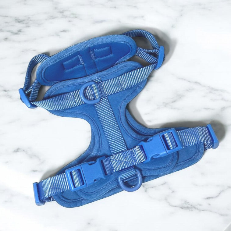 Durable Neoprene Blue Dog Harness image 1