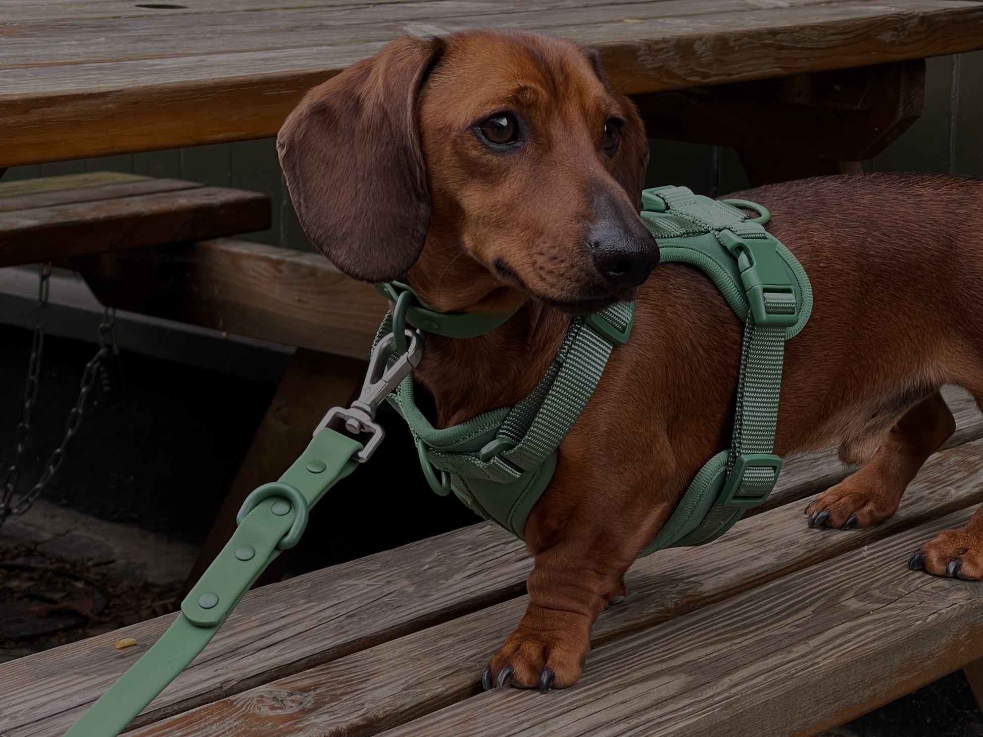 Durable Waterproof Green Dog Lead image 2